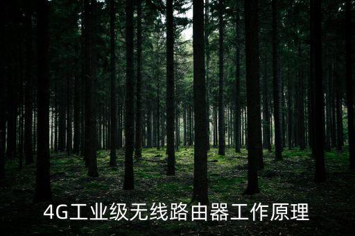 4G工業(yè)級無線路由器工作原理