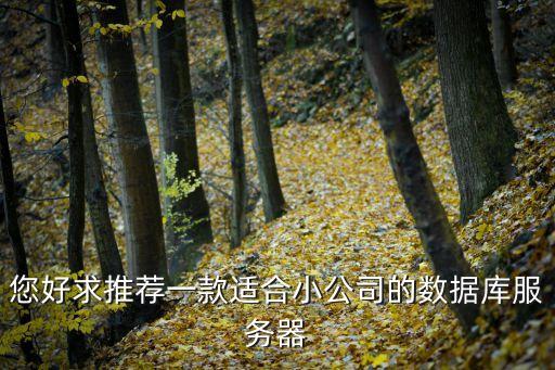 您好求推薦一款適合小公司的數(shù)據(jù)庫服務(wù)器