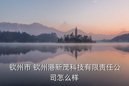  欽州市 欽州港新茂科技有限責(zé)任公司怎么樣
