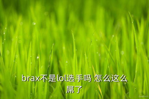 brax不是lol選手嗎 怎么這么屌了