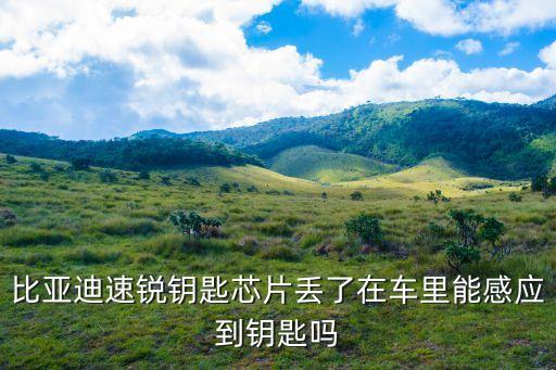 比亞迪芯片，比亞迪s7胎壓監(jiān)測是什么芯片