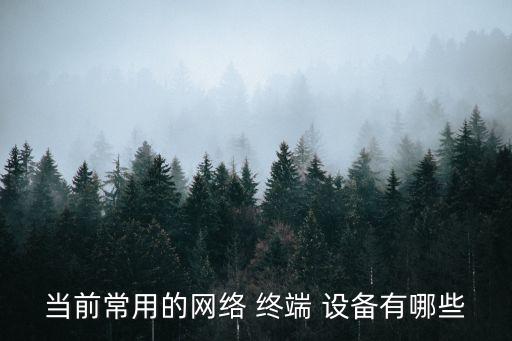 終端數(shù)據(jù)點設備,無線數(shù)據(jù)終端怎么使用