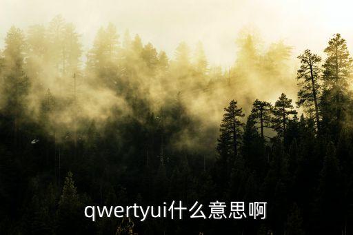 qwertyui，QWERTYUI這是什么啊知道的回答