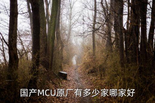 國產(chǎn)MCU原廠有多少家哪家好