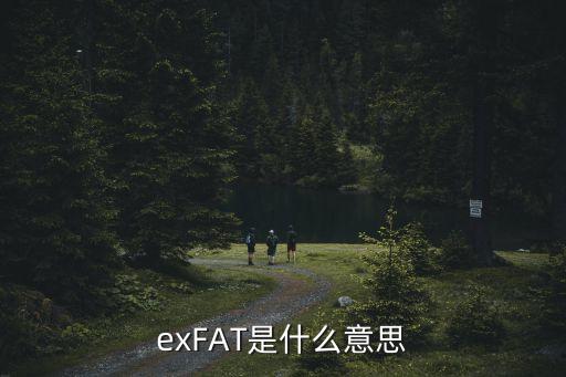 exfat，exFAT是什么意思