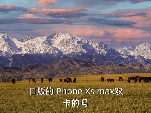 日版的iPhone Xs max雙卡的嗎