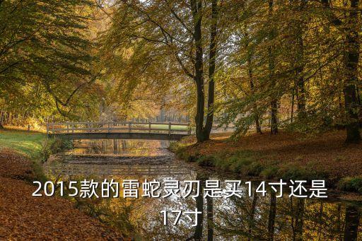 雷蛇靈刃14，2015款的雷蛇靈刃是買(mǎi)14寸還是17寸