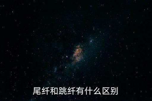 尾纖和跳纖有什么區(qū)別