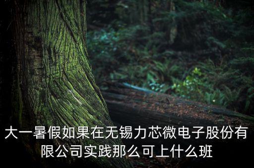 大一暑假如果在無錫力芯微電子股份有限公司實(shí)踐那么可上什么班