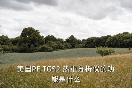 美國PE TGS2 熱重分析儀的功能是什么