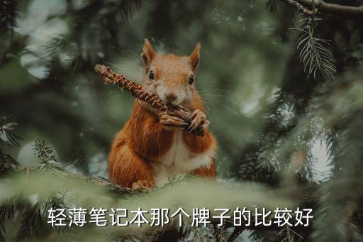 輕薄筆記本那個牌子的比較好