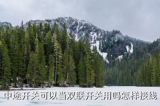 中途開關，什么是中途開關