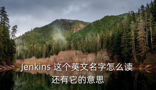 jenkins，Jenkins是什么意思