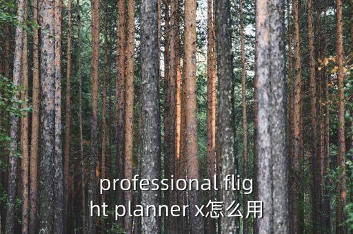 professional flight planner x怎么用