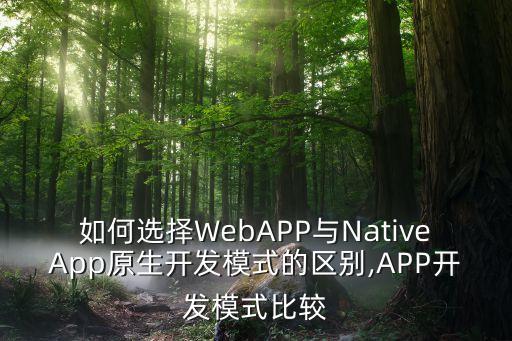 如何選擇WebAPP與NativeApp原生開發(fā)模式的區(qū)別,APP開發(fā)模式比較