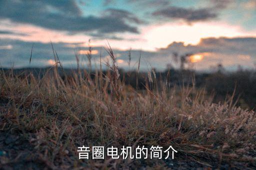 音圈電機(jī)，音圈電機(jī)的介紹