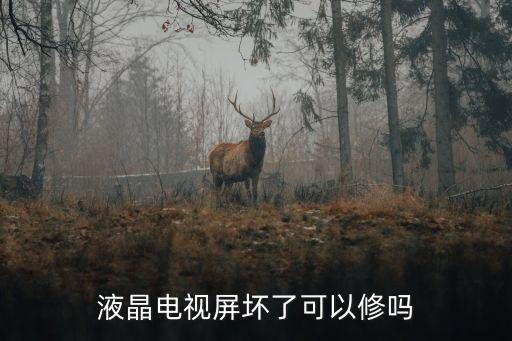 液晶電視屏壞了可以修嗎