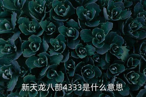 4333，天龍4333具體是什么意思