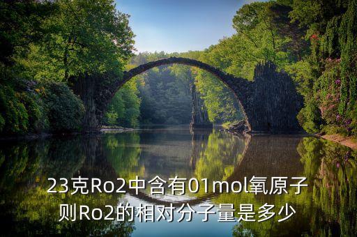 23克Ro2中含有01mol氧原子則Ro2的相對(duì)分子量是多少