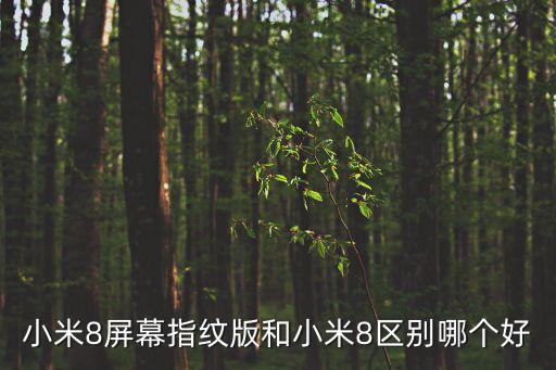 小米8屏幕指紋版和小米8區(qū)別哪個好