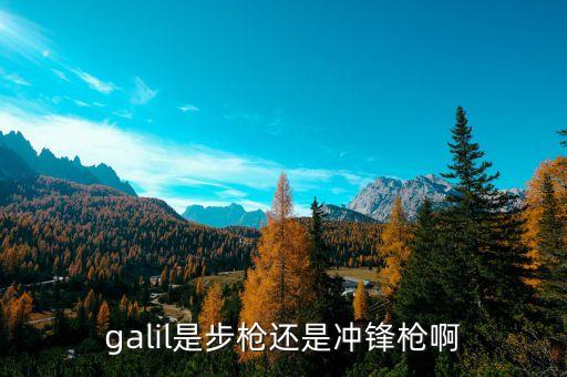galil是步槍還是沖鋒槍啊
