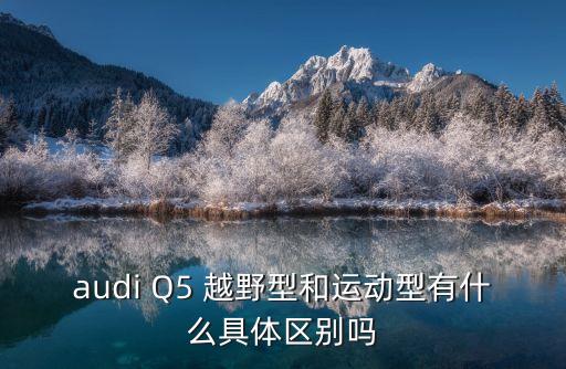audi Q5 越野型和運(yùn)動(dòng)型有什么具體區(qū)別嗎