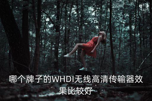 哪個(gè)牌子的WHDI無(wú)線高清傳輸器效果比較好
