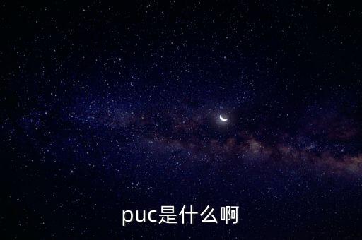 puc是什么啊