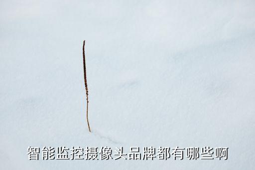 智能監(jiān)控?cái)z像頭品牌都有哪些啊