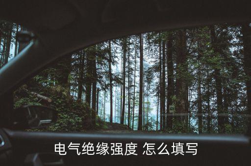 絕緣強(qiáng)度，電氣絕緣強(qiáng)度 怎么填寫
