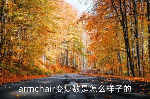 armchair變復(fù)數(shù)是怎么樣子的