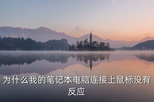 筆記本鼠標(biāo)沒反應(yīng)，筆記本電腦鼠標(biāo)不工作