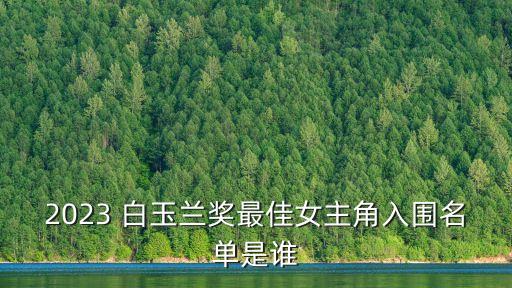 白玉蘭獎