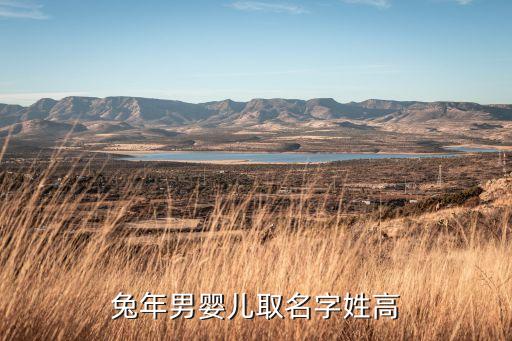 兔年男嬰兒取名字姓高