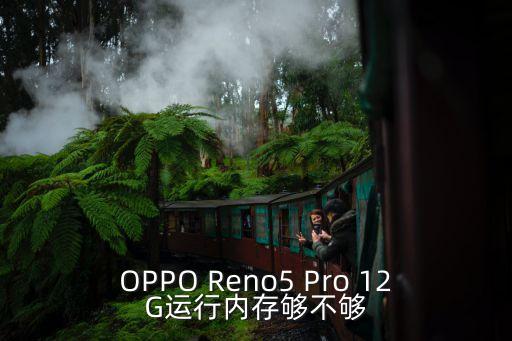 OPPO Reno5 Pro 12G運行內(nèi)存夠不夠