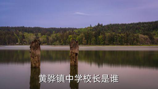 黃驊鎮(zhèn)中學(xué)校長(zhǎng)是誰(shuí)