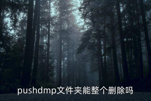 pushd，pushd0wnturn是什么意思
