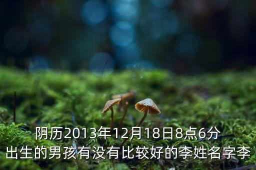 陰歷2013年12月18日8點(diǎn)6分出生的男孩有沒(méi)有比較好的李姓名字李