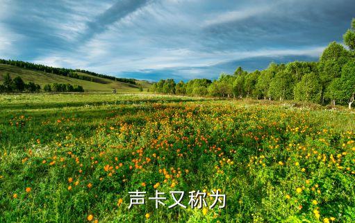 聲卡設(shè)備，聲卡是什么