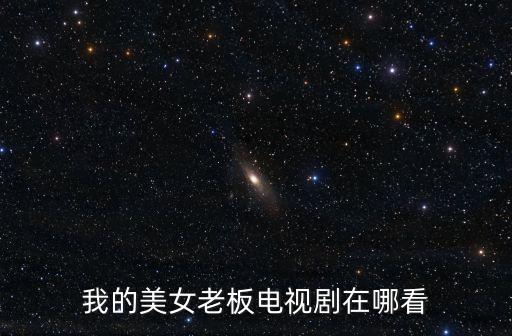 我的美女老板電視劇在哪看