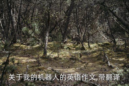 關于我的機器人的英語作文,帶翻譯
