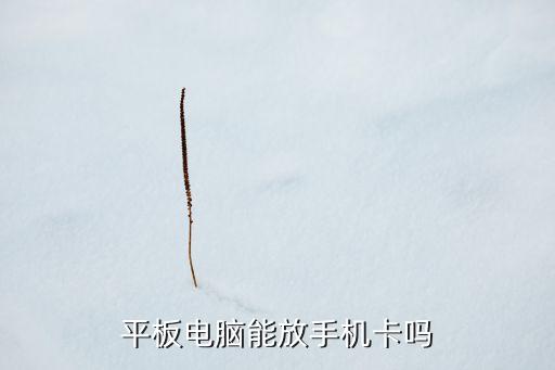 平板電腦能放手機(jī)卡嗎