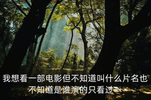 我想看一部電影但不知道叫什么片名也不知道是誰演的只看過一