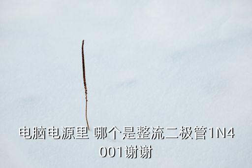 電腦電源里 哪個是整流二極管1N4001謝謝