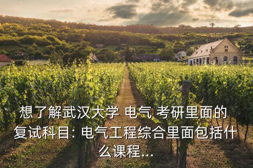 想了解武漢大學(xué) 電氣 考研里面的 復(fù)試科目: 電氣工程綜合里面包括什么課程...