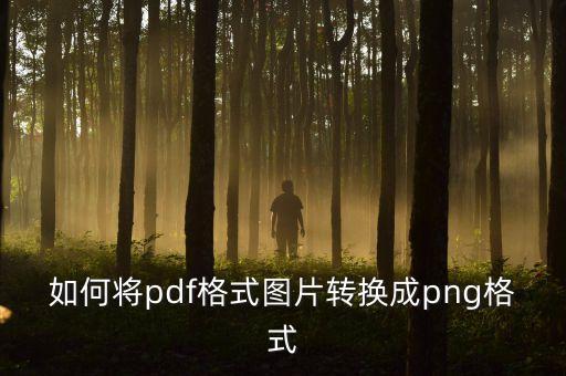 pdf轉(zhuǎn)png，如何把PDF文件轉(zhuǎn)換成pdb或umd或png格式