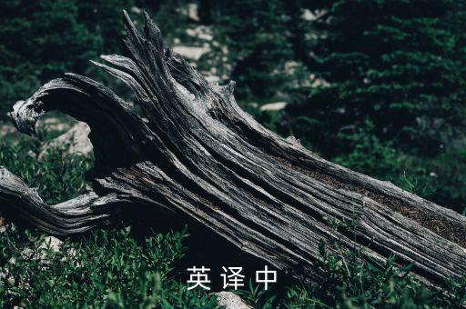 英 譯 中