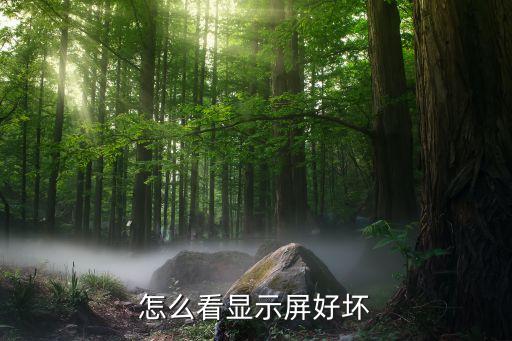 測(cè)試屏幕，怎么測(cè)試顯示器的好壞