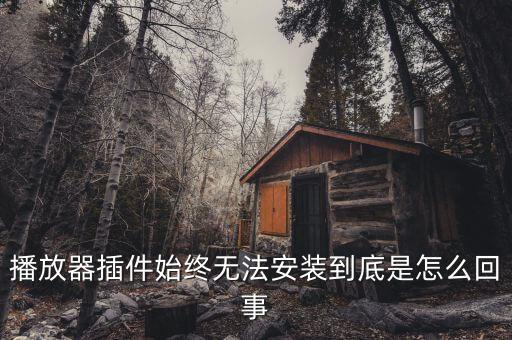 播放器插件，IE常用插件有那些啊
