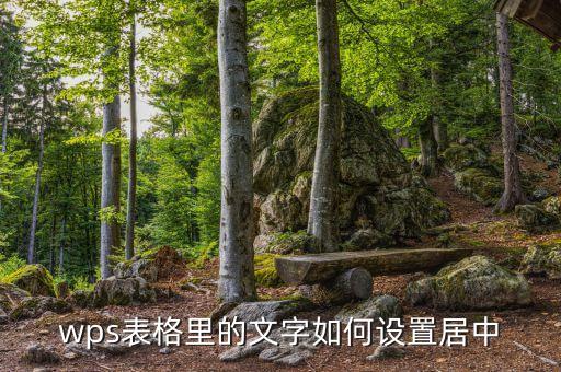 wps表格里的文字如何設(shè)置居中
